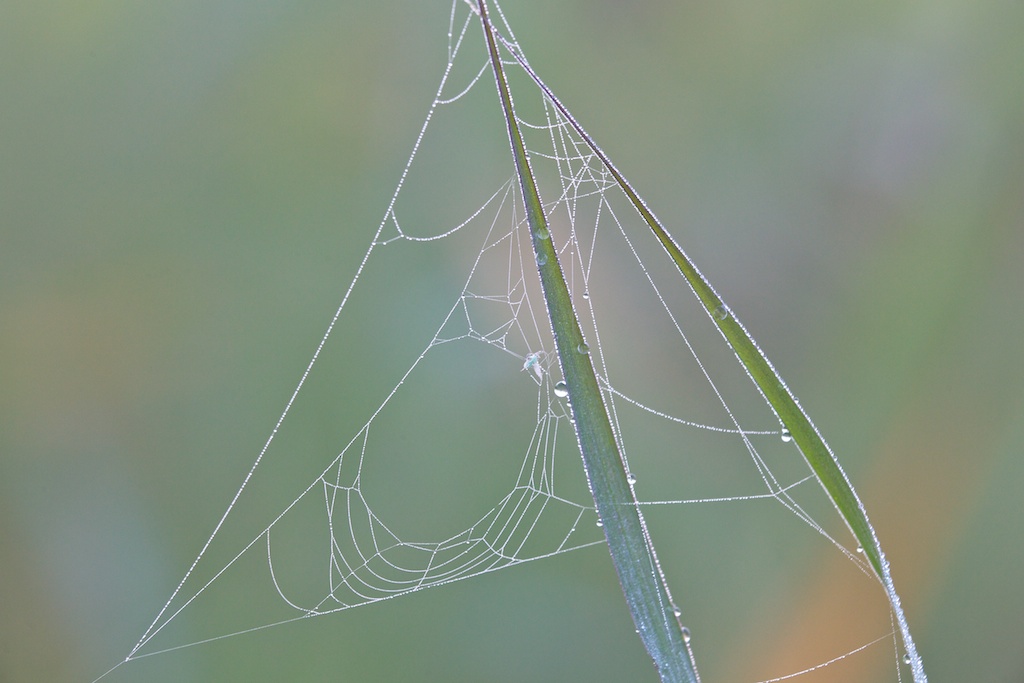 Stacks Image 43